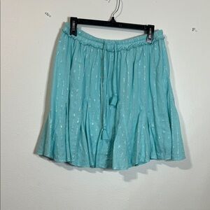 crown & ivy Aqua Metallic Stripe Skater Skirt